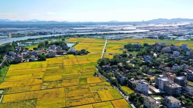 图集报道|阳江美景醉游人