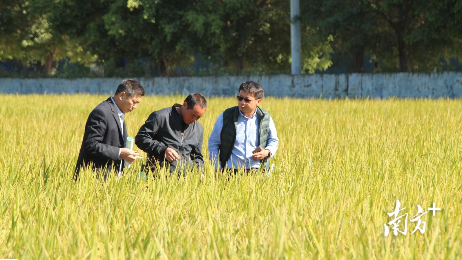 3  南方+ 林捷勇 拍摄