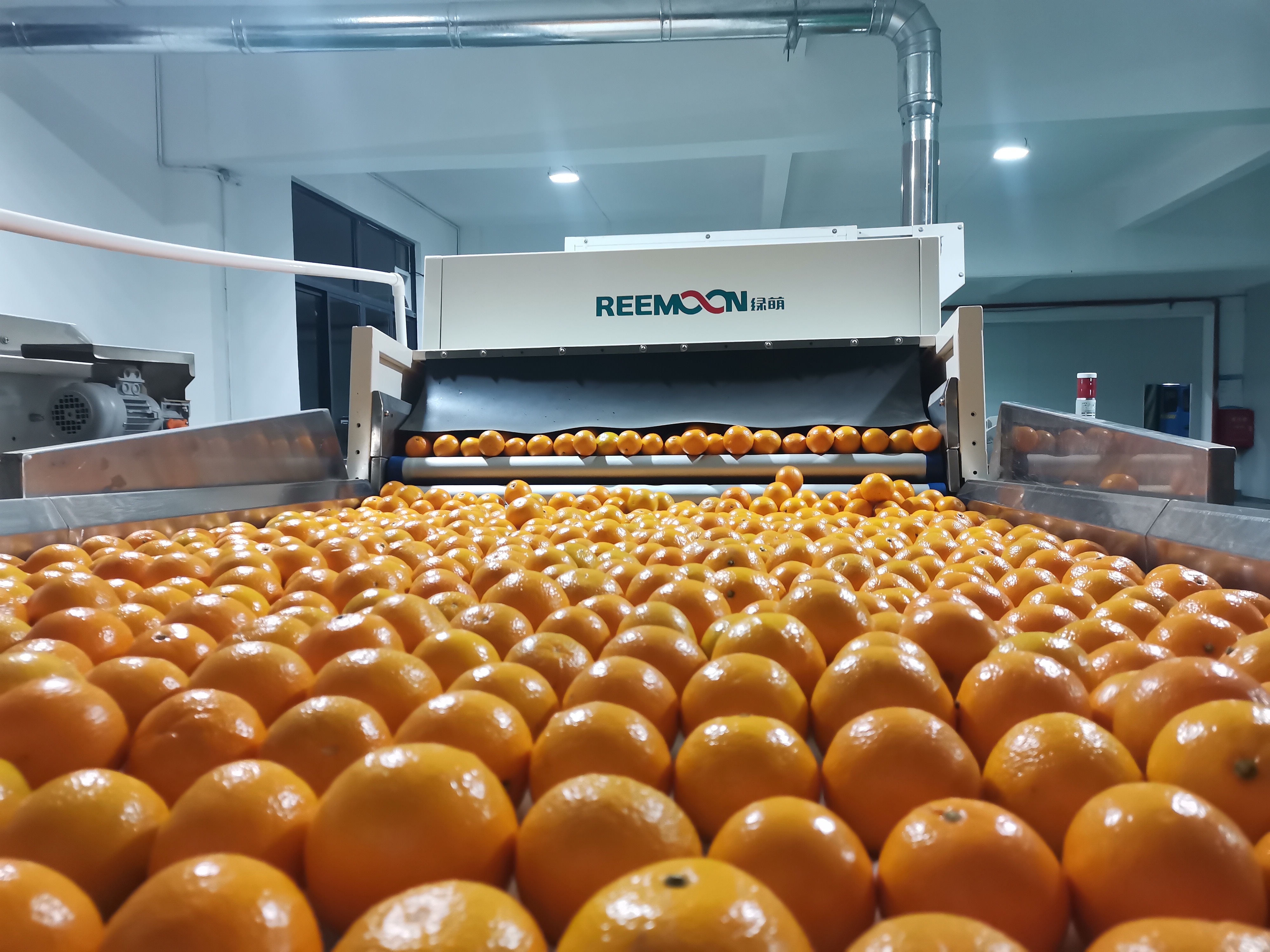 德庆建设了一批田头智慧小站，可就近为农户提供仓储保鲜、加工包装、分选分拣等服务。受访者 供图