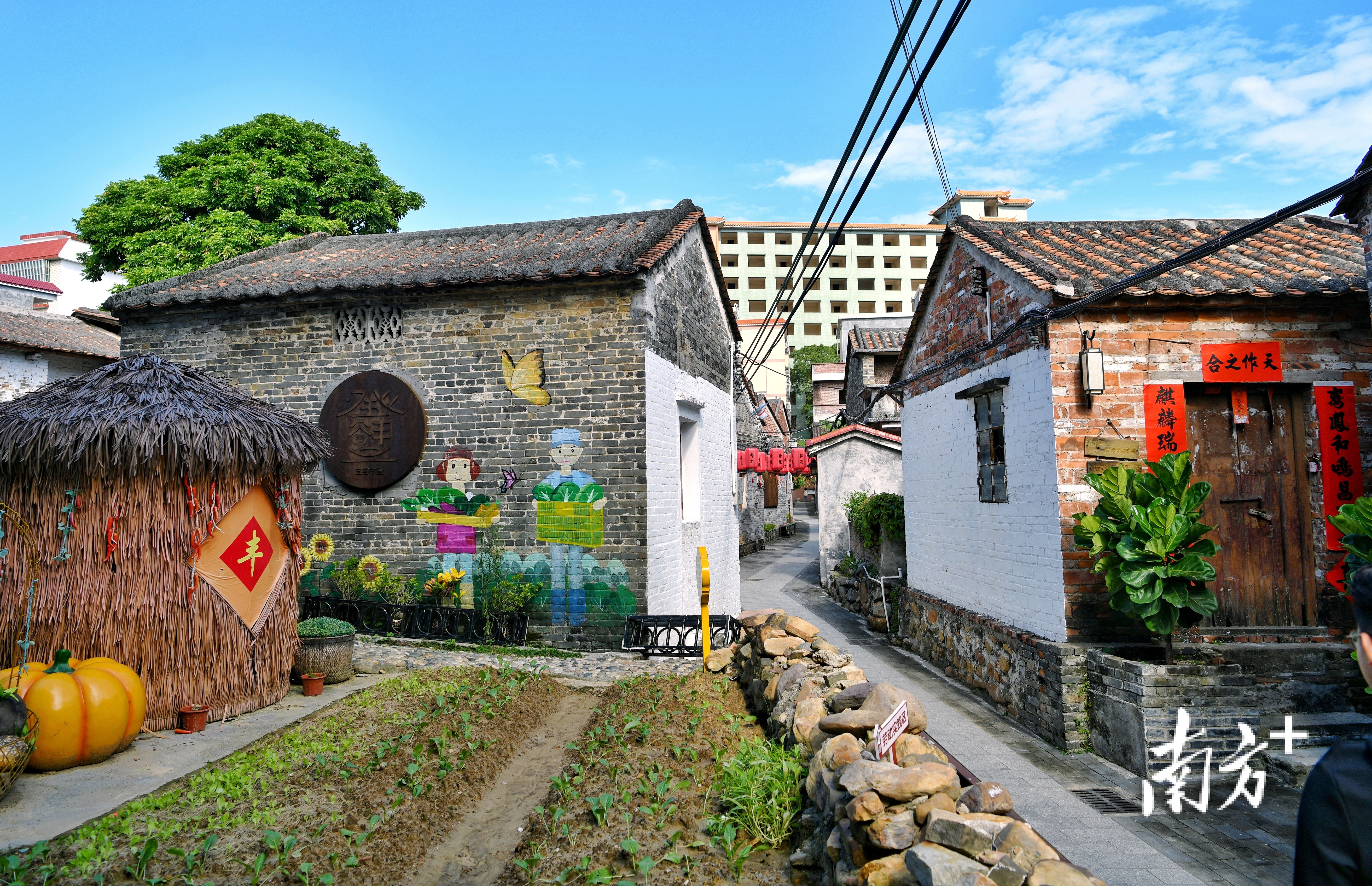 鼎湖区坑口街道迪村社区的传统民居。