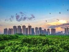 梁嘉斌：融入南部都会中心，打造大湾区“珠宝名镇，宜居小城”｜顺德两会