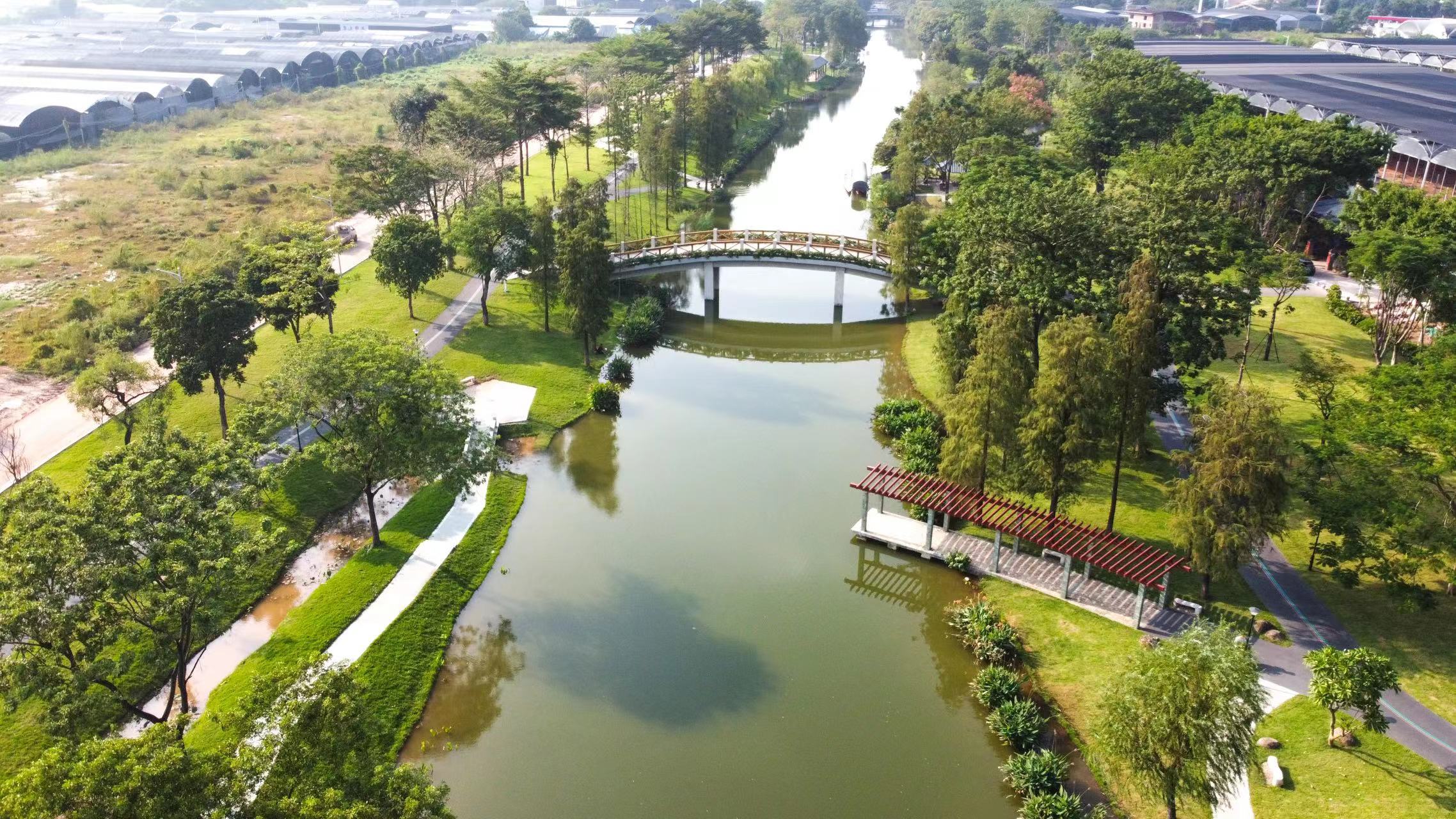 大沙河碧道一景