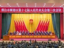 两会之后顺德去向何方？刘智勇：回答四个问题，做到三个坚持