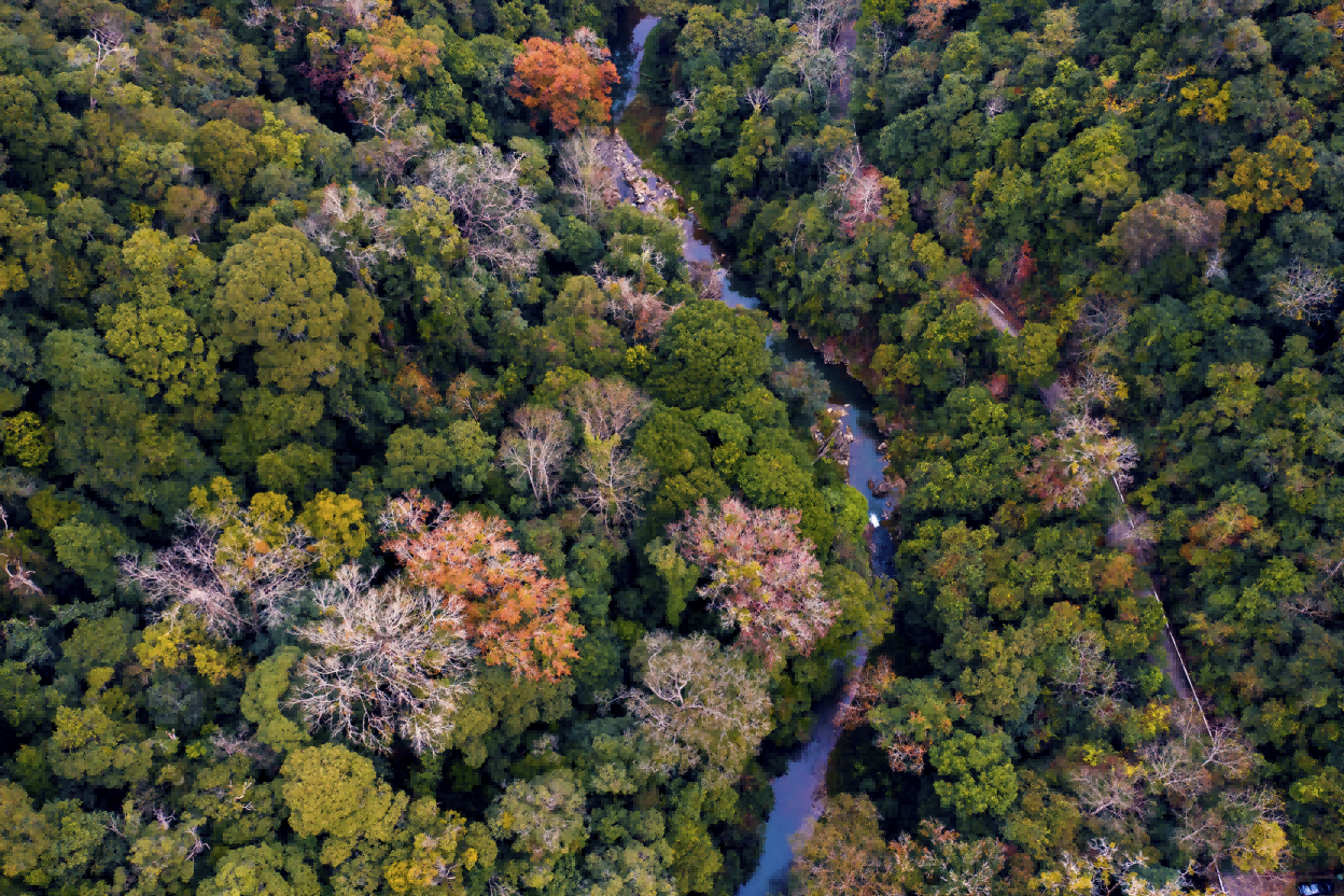 多彩车八岭。邓斌 摄