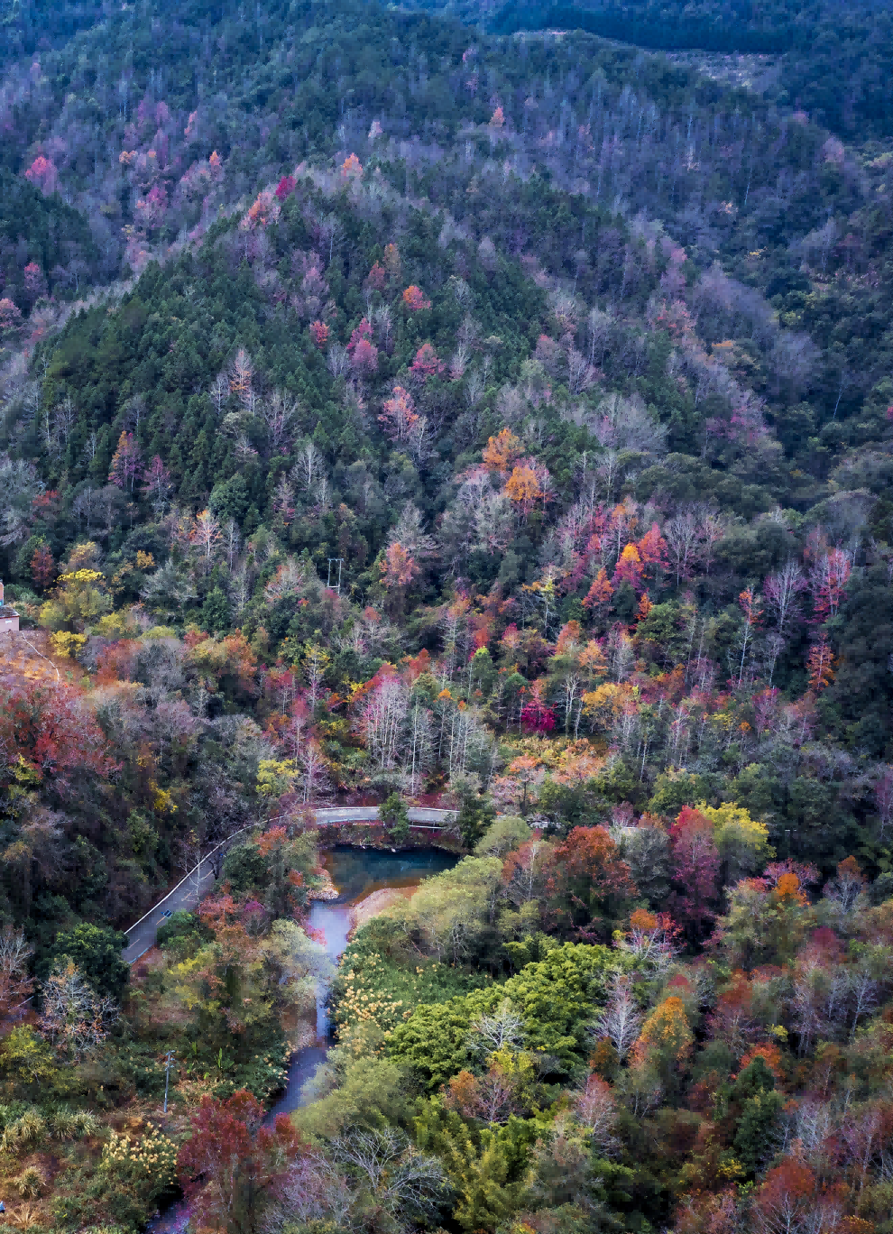 车八岭红叶。邓斌 摄
