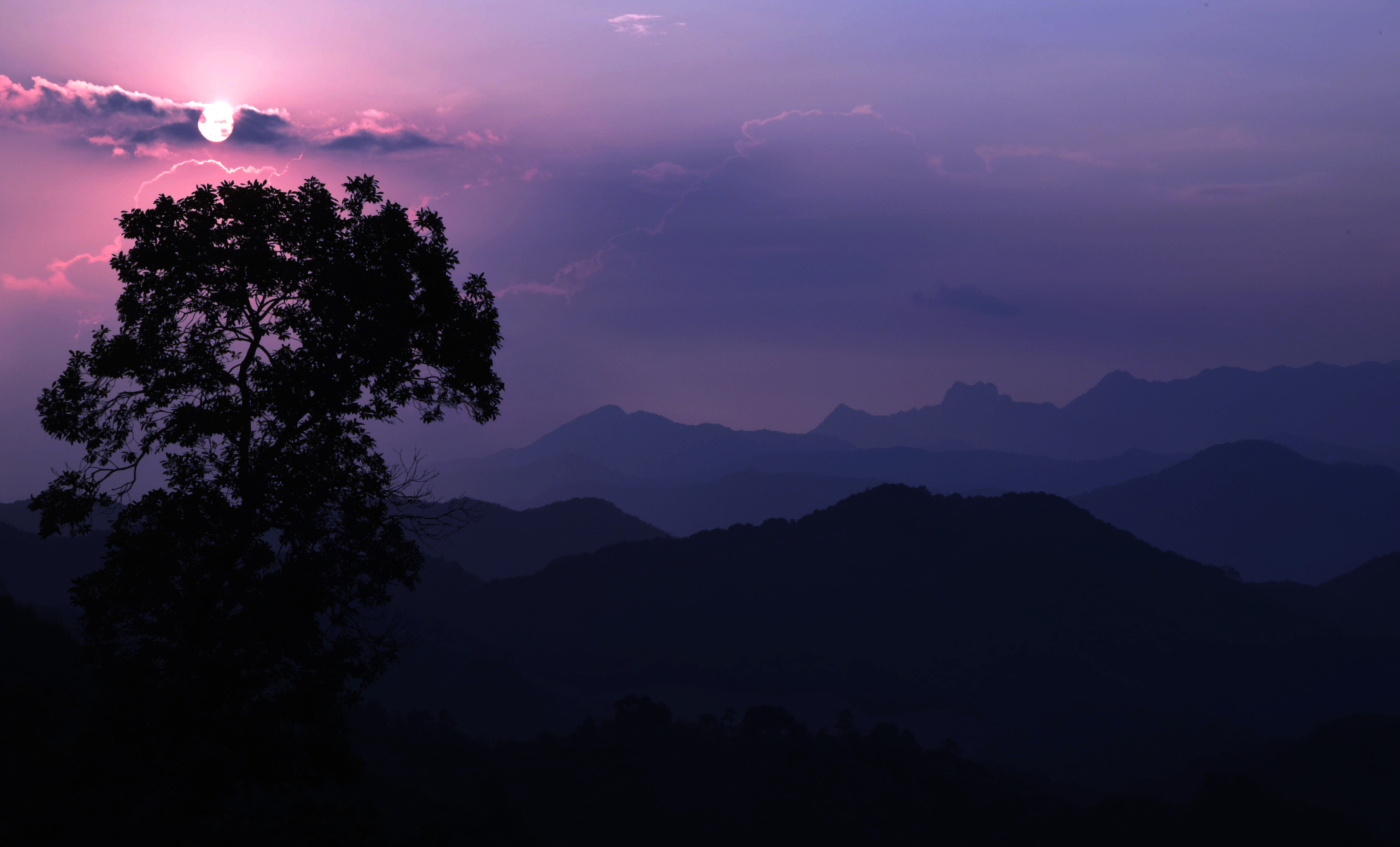 秋胜春朝。栾福臣 摄