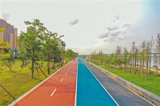 西江碧道外海段11月15日对外开放