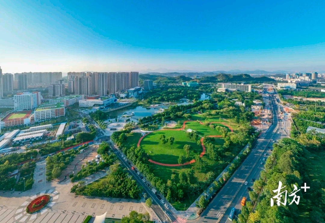 为“古树”让路,深圳坪山绿色发展的年轮记忆