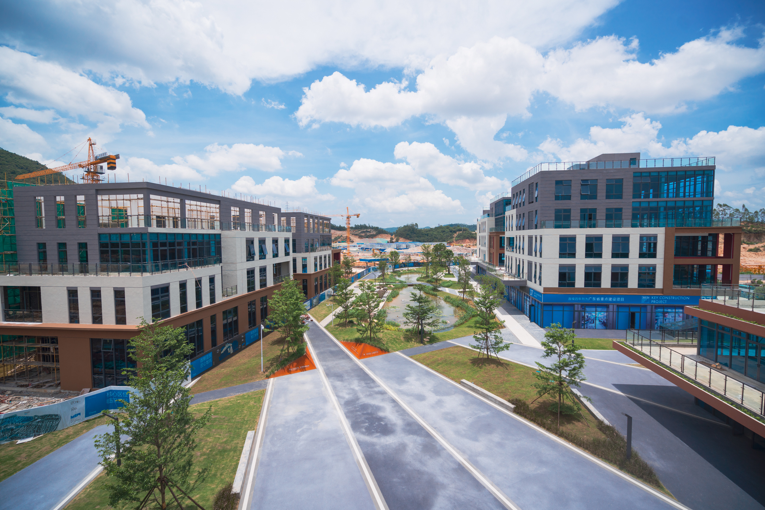 通讯员 惠阳融媒 供图