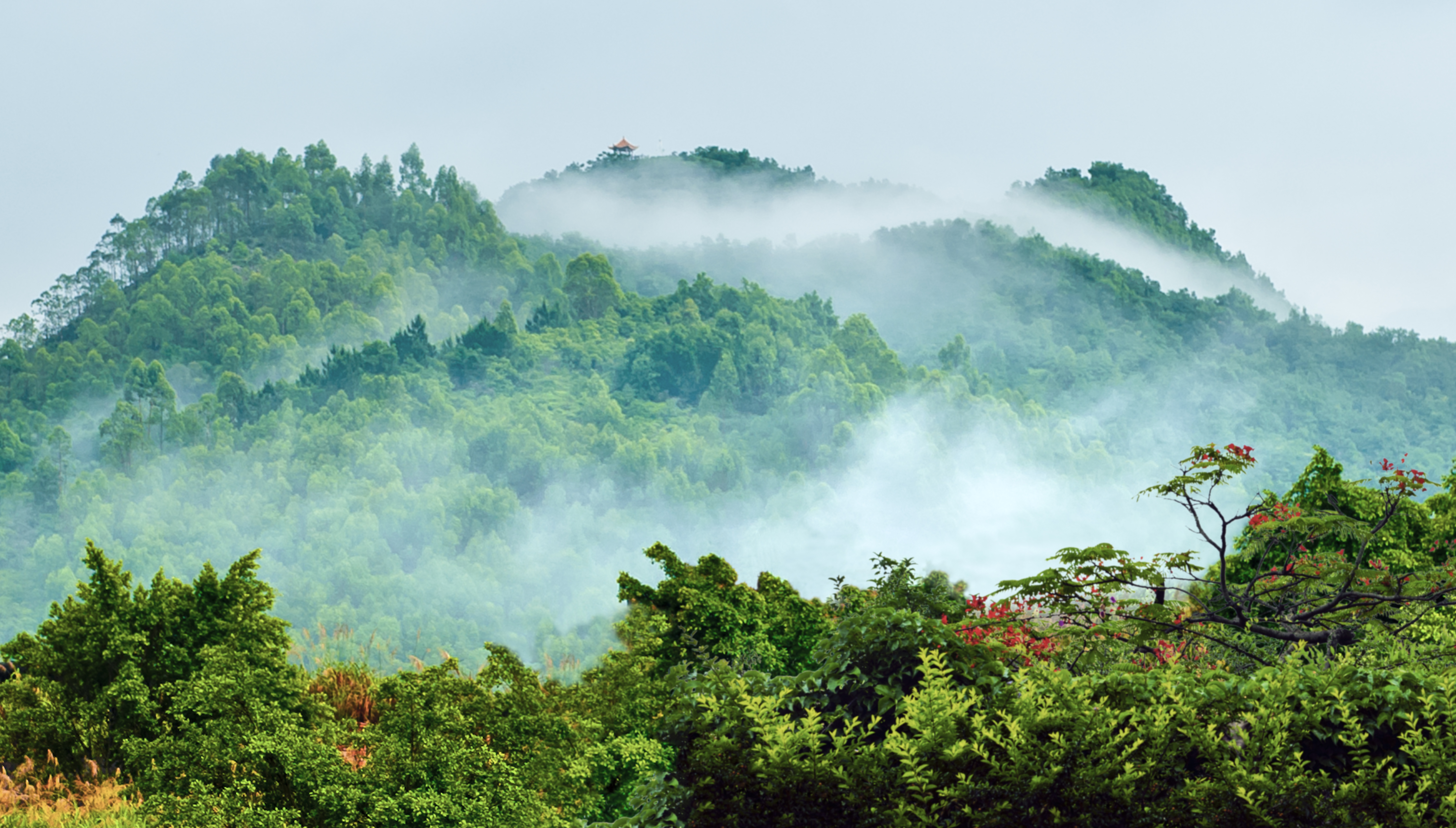 通讯员 惠阳融媒 供图