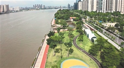 图为阅江路碧道。骆昌威摄