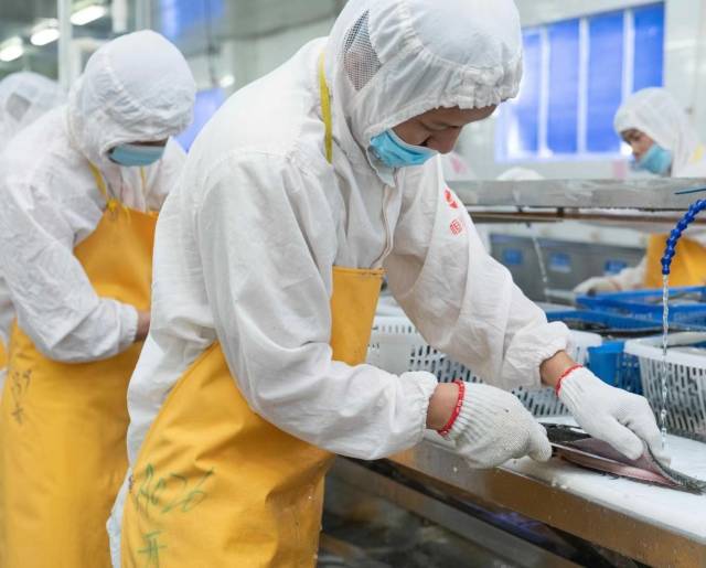 广东恒兴预制菜生产线