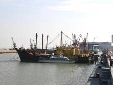 走进美丽乡村|新会崖门渔港：产业融合发展，打造滨海旅游生力军