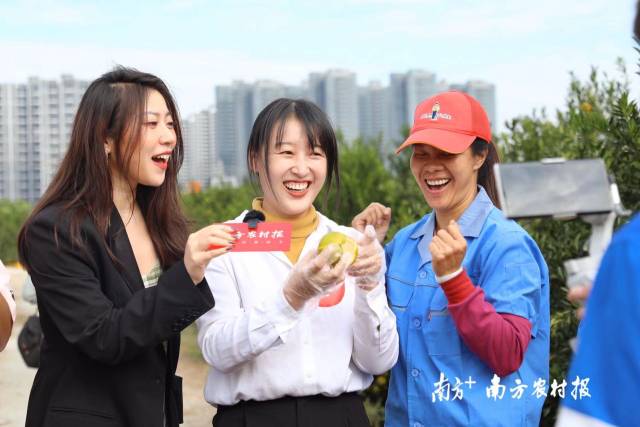 田间地头直播开柑