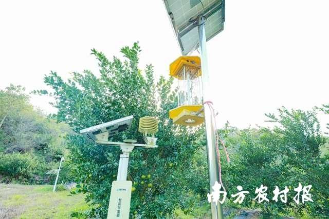 现代基地中布满检测设备。  南方农村报 吴秒衡 拍摄