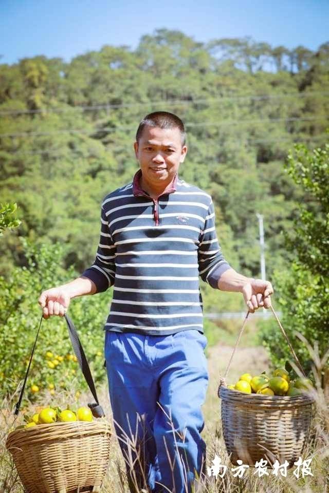 丰收的喜悦洋溢脸上。  南方农村报 吴秒衡 拍摄