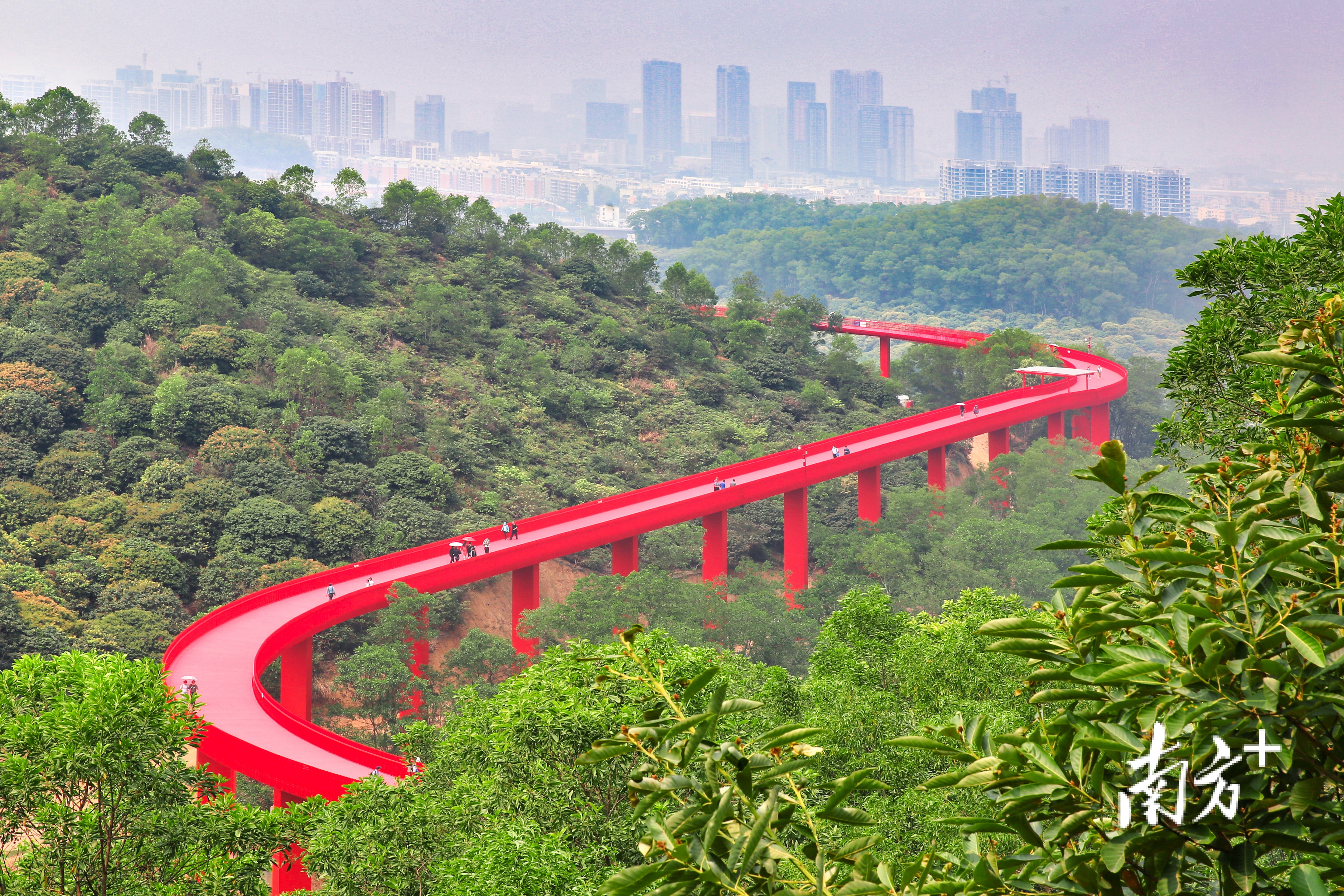 光明区正成为宜居宜业热土.受访单位供图