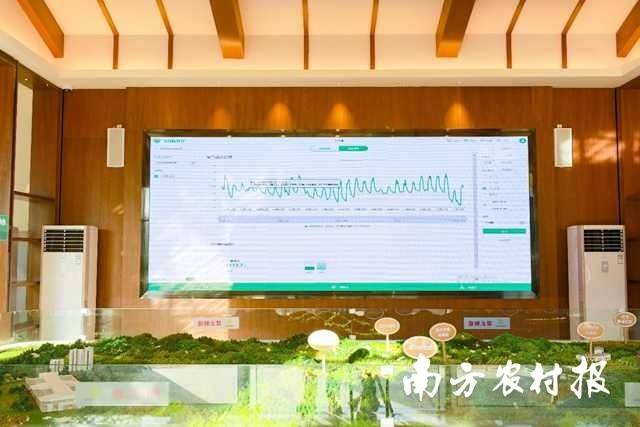 通过5G技术能实现数据实时同步。  南方农村报 吴秒衡 拍摄