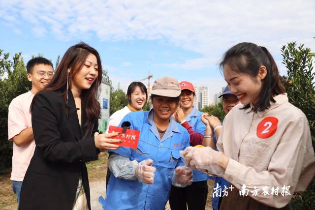 田间地头直播开柑