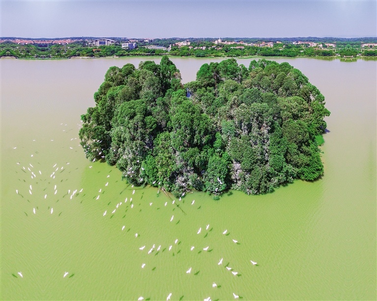 云东海国家湿地公园图片