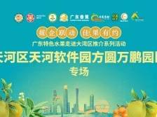 广东特色水果走进大湾区推介系列活动天河区天河软件园方圆万鹏园区专场