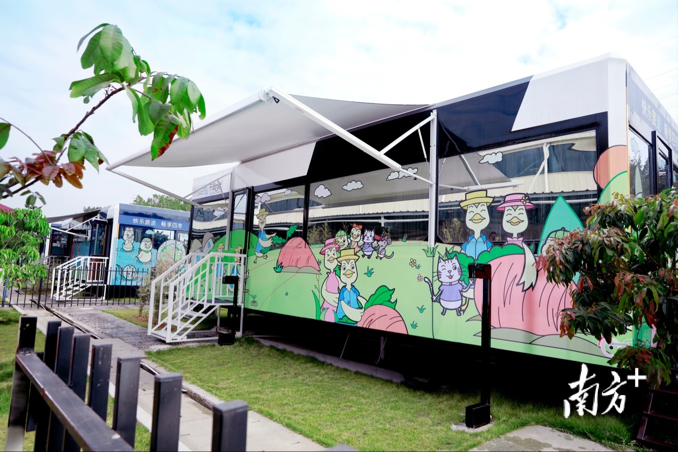 图  南方+ 朱伟良 拍摄