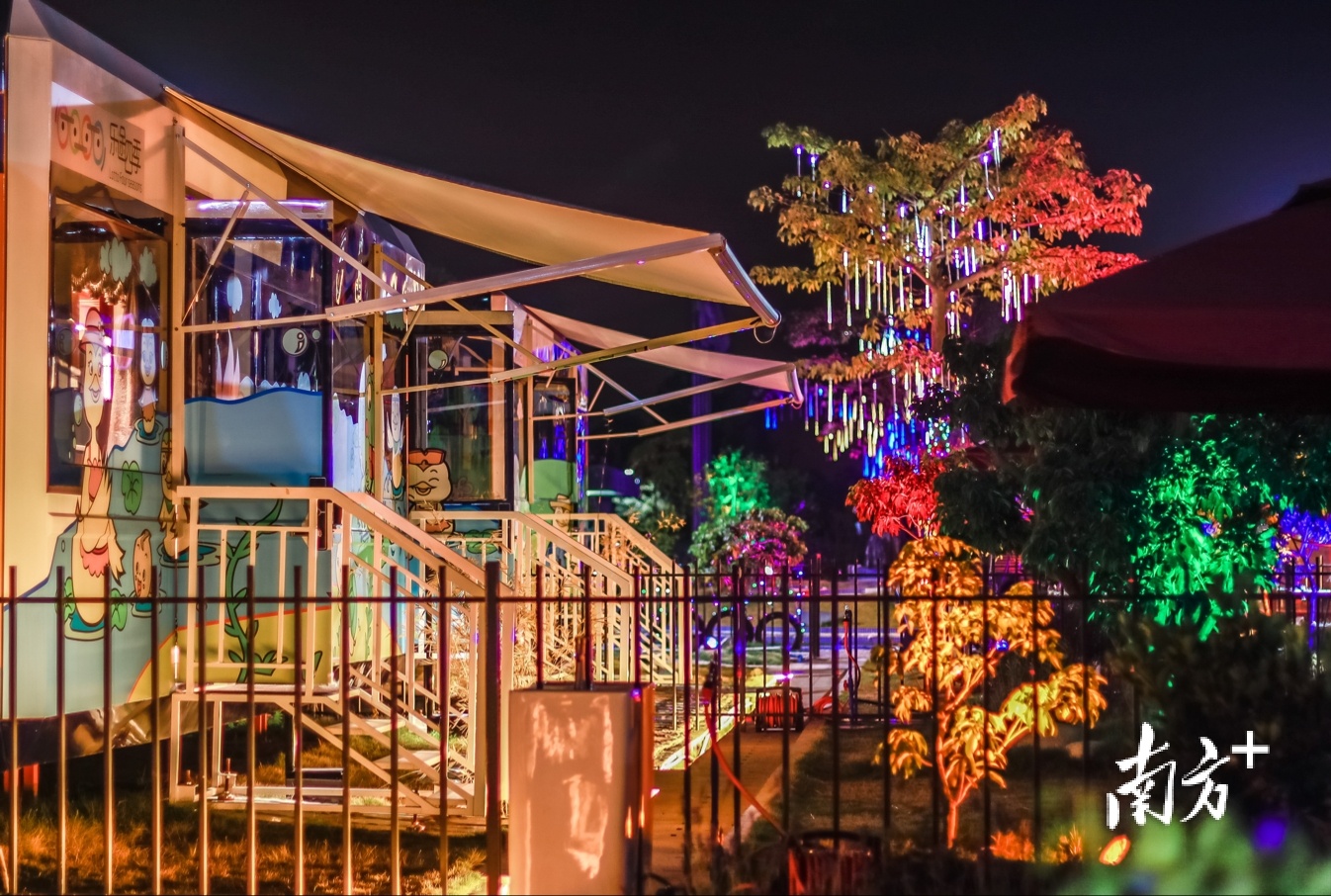 图  南方+ 朱伟良 拍摄