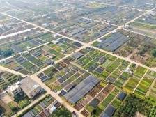 走进美丽乡村｜产业强、环境优、文化兴，来看中山乡村有多美