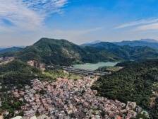 走进美丽乡村｜美景美食亮点纷呈，中山乡村振兴进行时