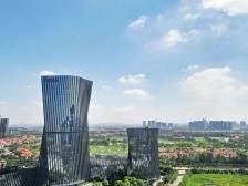 乔木之道：大象能起舞，功夫在日常