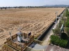 走进美丽乡村｜台山莘村：“广东第一田”的产业数字化转型之旅