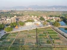 走进美丽乡村|新会崖门镇：村村有特色，十里乡村风貌示范带显风采