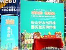 快来围观！广东特色佳果走进天河软件园方圆万鹏园区