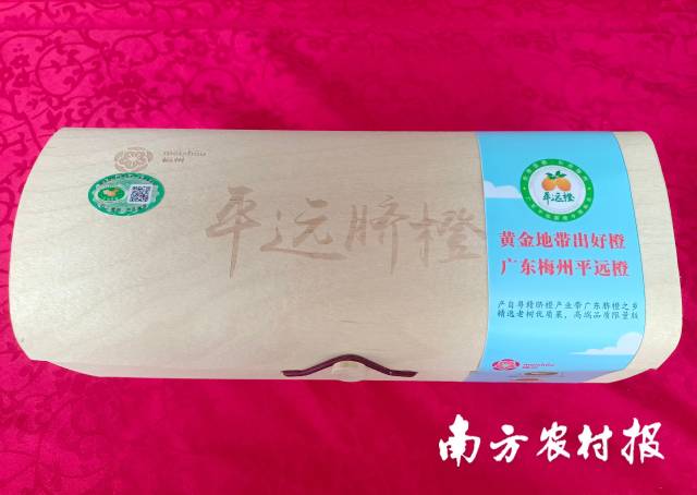 平远脐橙高端礼盒装。