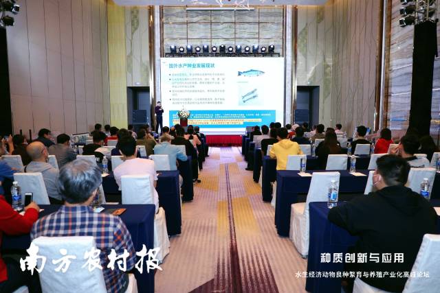 通讯员 主办方 供图