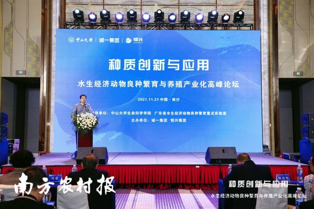 中山大学教授张勇