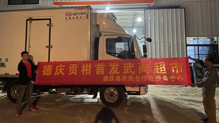 粤鄂合作结“新果”！万斤德庆贡柑首发湖北武商超市