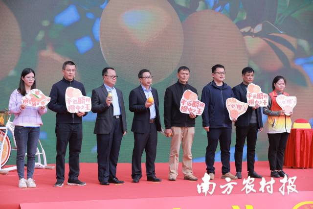 脐橙小剧场人物合照   南方农村报 谢伙荣 拍摄