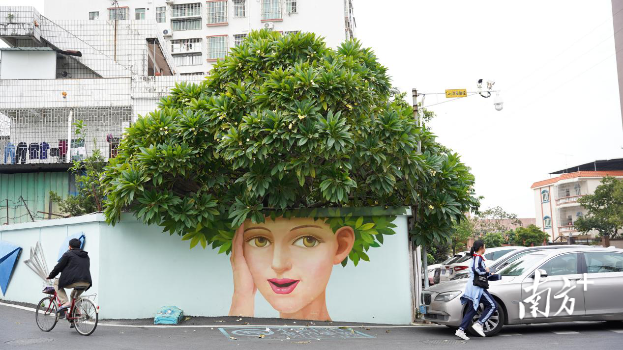 无  南方+ 刘远忠 拍摄