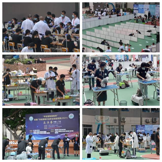 选手参加相关考核及裁判评分