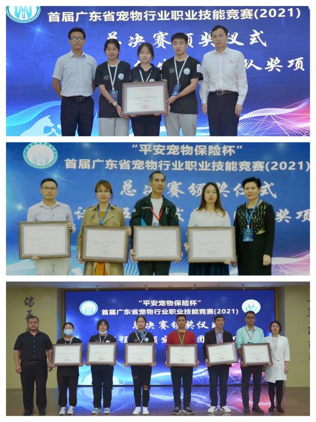 学生团体一、二、三等奖