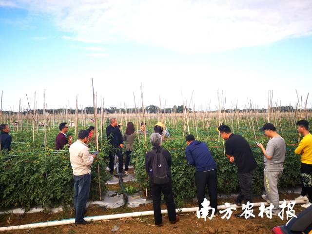 田头奔波授技艺。 