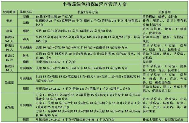 小番茄绿色植保与营养管理方案（点开可看大图）