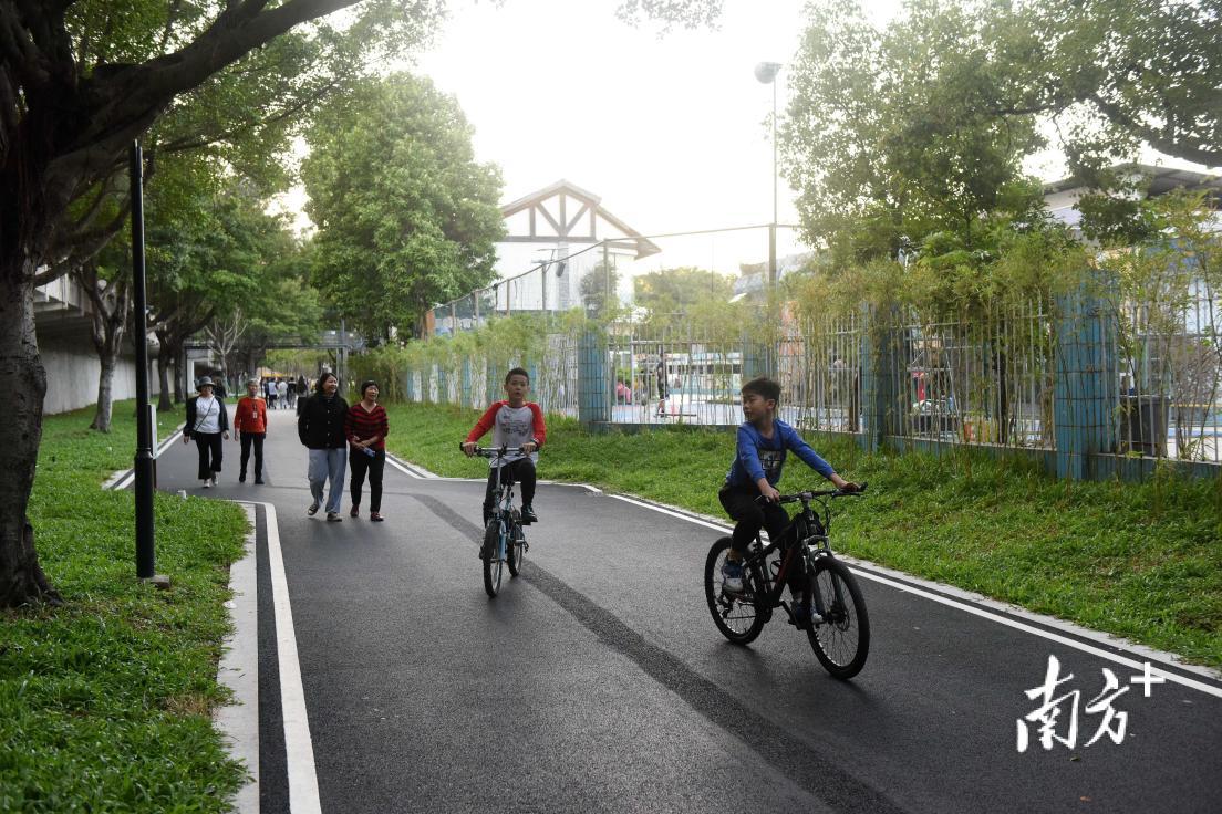 多个公园的碧道翻新了沥青路面。图为下埔滨江公园。  南方+ 梁维春 拍摄