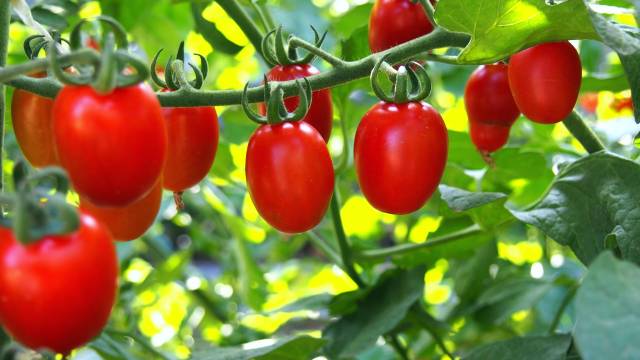 南方农村报 暂无 拍摄