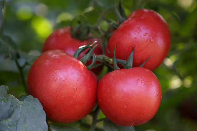 南方农村报 暂无 拍摄