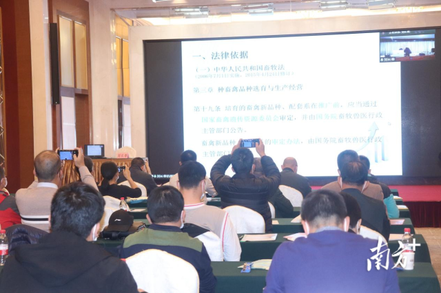 全国畜牧总站、国家畜禽遗传资源首席刘长春视频授课