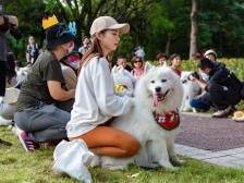 打卡文明广东④ | 打疫苗、拴狗绳、“狗狗屋”……文明养犬这几条要划重点