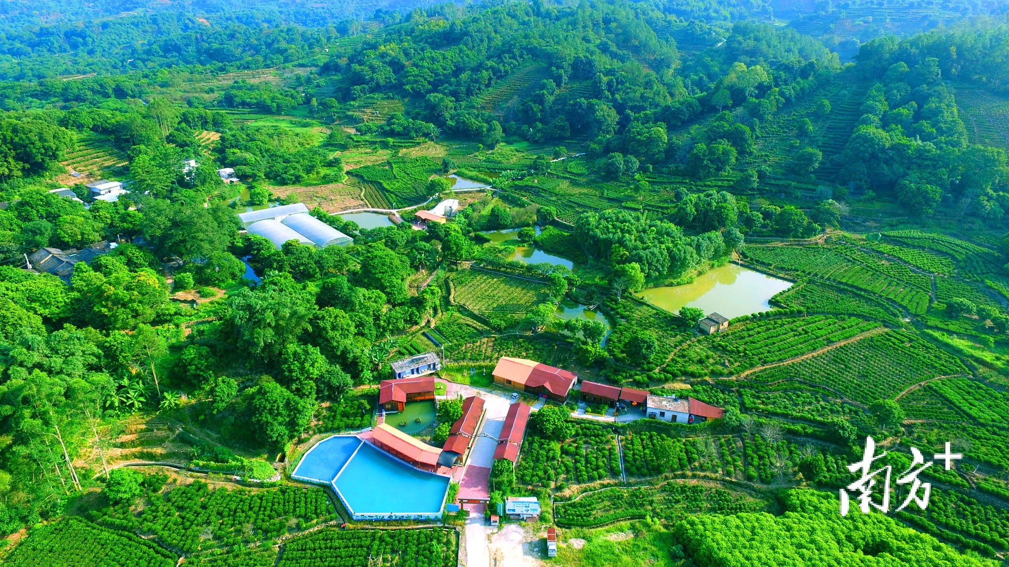 新塘镇将结合苏区文化和茶区底蕴,大力发展旅游休闲与创意体验农业.