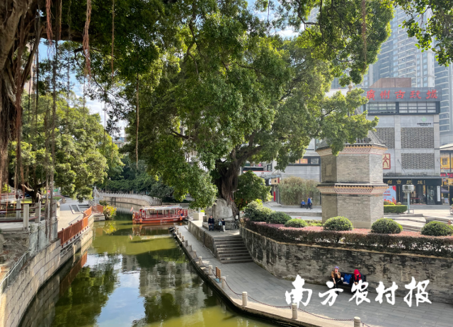 广州古玩城边的荔枝湾。